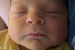 Gus-Home-at-last_mod